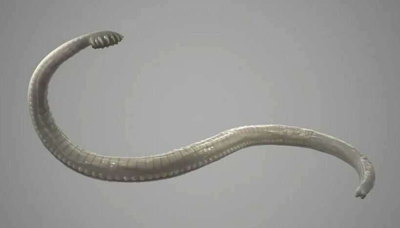 Порно жетілген әйелі в жопу күйеуінің алдында